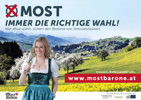 Im Fokus: die Streuobstwiese