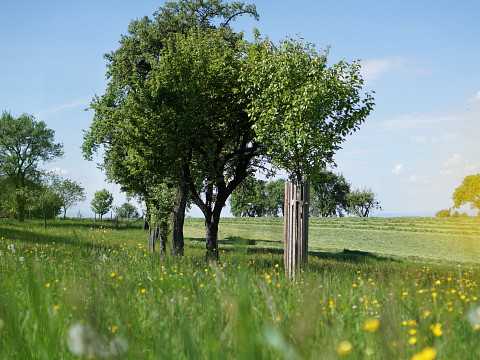 Das Mostviertel und sein Most
