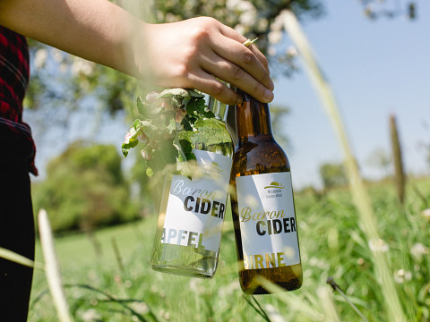 Das Mostviertel und sein Most