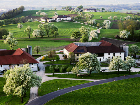 Das Mostviertel und sein Most