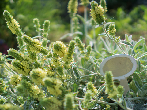 Mostviertler Paradies mit traumhafter Aussicht
