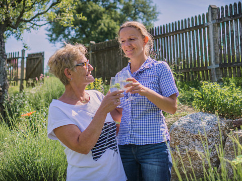 Mostviertler Paradies mit traumhafter Aussicht