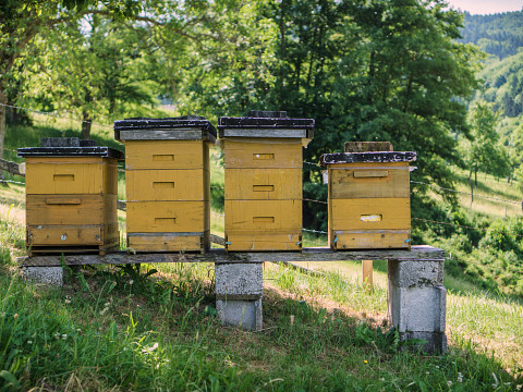 Mostviertler Paradies mit traumhafter Aussicht