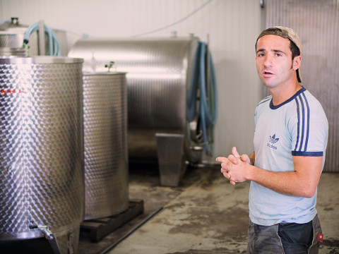 Mostviertler Paradies mit traumhafter Aussicht