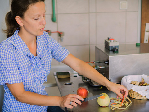 Mostviertler Paradies mit traumhafter Aussicht