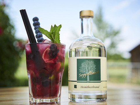 Mostviertler Cocktails mit weltmeisterlichen Spirituosen