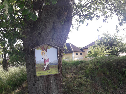 Oh heiliger Sebastian, beschütz‘ uns unsere Zwetschkenbam