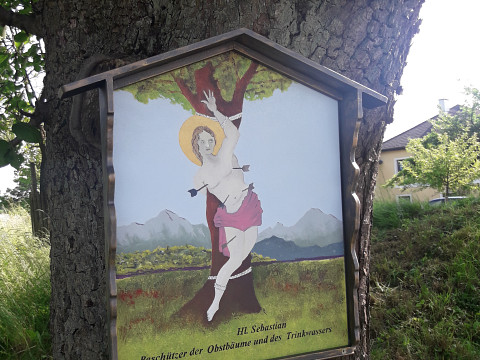 Oh heiliger Sebastian, beschütz‘ uns unsere Zwetschkenbam