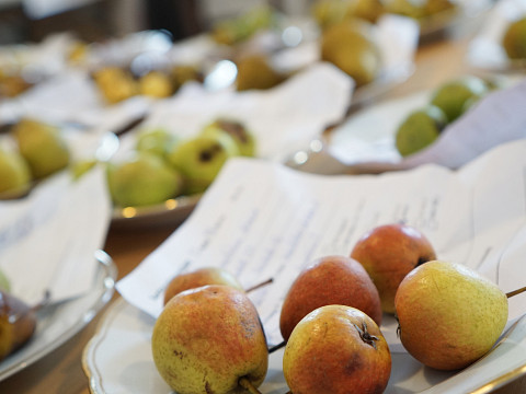 Kennst du deine Birnen