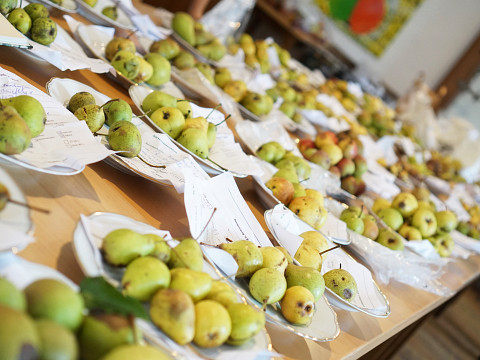 Kennst du deine Birnen