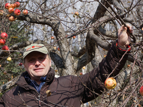 Die Mostbarone in Amerika