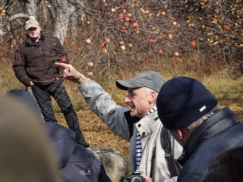 Die Mostbarone in Amerika