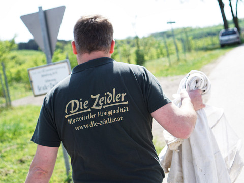 Konstrukteure einer perfekten Bestäubung