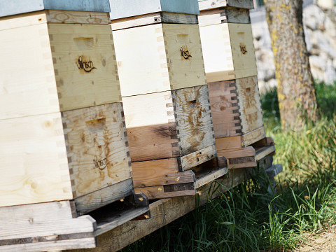 Konstrukteure einer perfekten Bestäubung