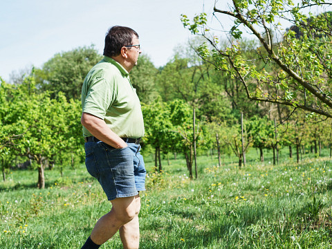 Konstrukteure einer perfekten Bestäubung