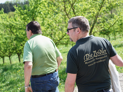 Konstrukteure einer perfekten Bestäubung