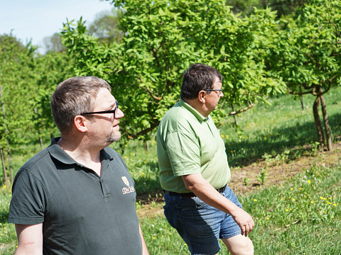 Konstrukteure einer perfekten Bestäubung