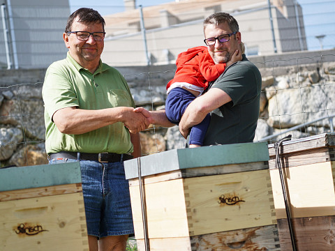 Konstrukteure einer perfekten Bestäubung