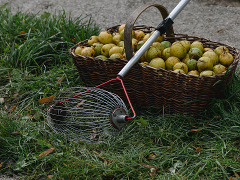 Ernte im Mostviertel
