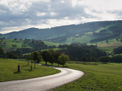 Dörrobst vom Reikersdorfer