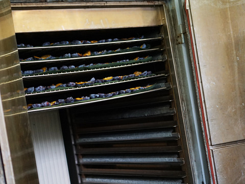 Dörrobst vom Reikersdorfer