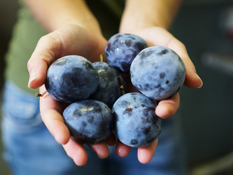 Dörrobst vom Reikersdorfer