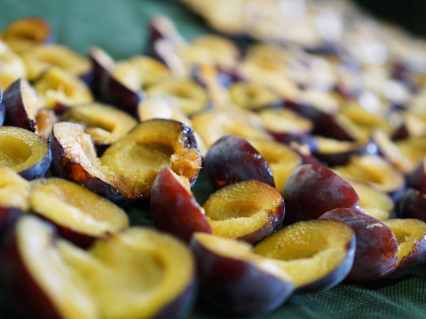 Dörrobst vom Reikersdorfer