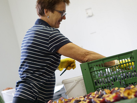 Dörrobst vom Reikersdorfer