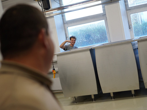 BIO-Most für die Käsewölfe