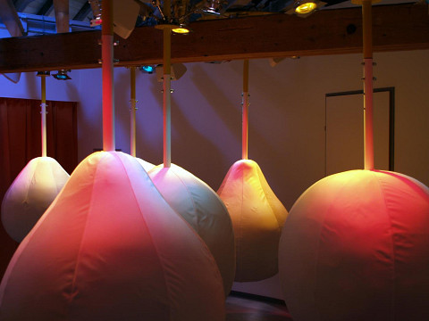 10 Dinge, die man im Mostbirnhaus auf keinen Fall verpassen soll