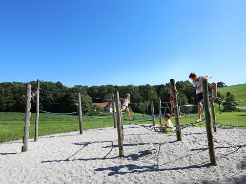 10 Dinge, die man im Mostbirnhaus auf keinen Fall verpassen soll