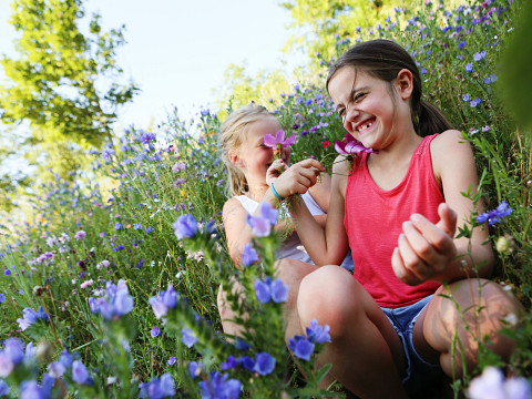10 Dinge, die man im Mostbirnhaus auf keinen Fall verpassen soll