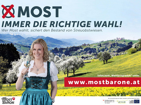 Im Fokus: die Streuobstwiese