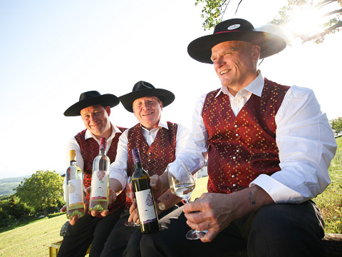 Im Fokus: die Streuobstwiese