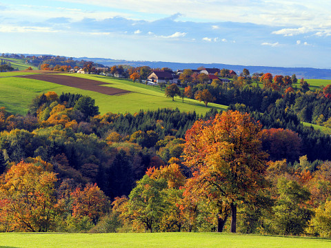 Die Streuobstwiese – Heimat für viele Tiere