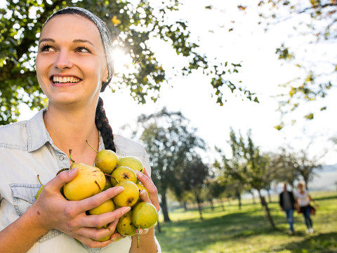 Die Streuobstwiese – Obstvielfalt deluxe