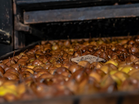 Apfel, Nuss und Kletzenbirn