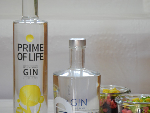 Wintersalat mit Zitronen-Gin-Marinade