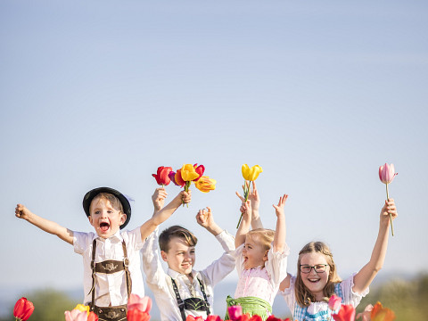 Der Frühling beim Mostbaron - Blütenduft und Lebensfreude