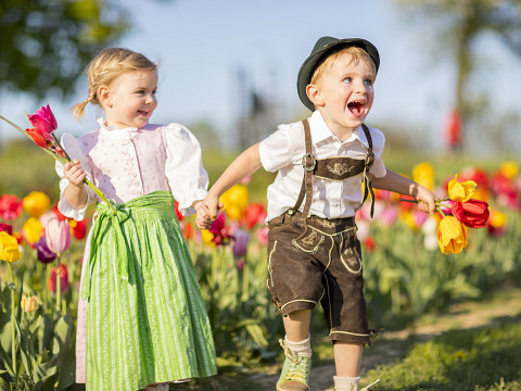 Der Frühling beim Mostbaron - Blütenduft und Lebensfreude