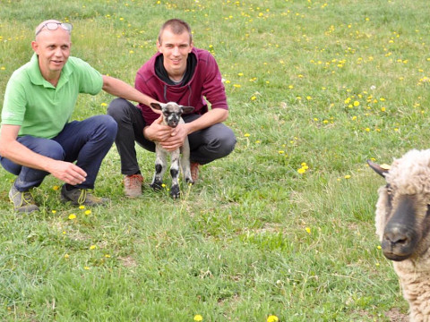 Hinter den Kulissen: Die Mostbarone als Bauern