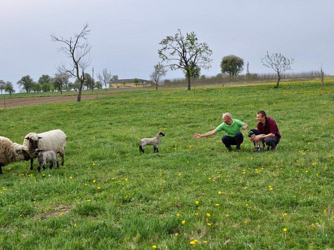 Hinter den Kulissen: Die Mostbarone als Bauern
