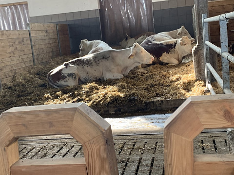 Hinter den Kulissen: Die Mostbarone als Bauern