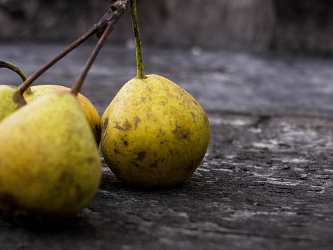 Die ungeahnten Schätze der Streuobstwiese