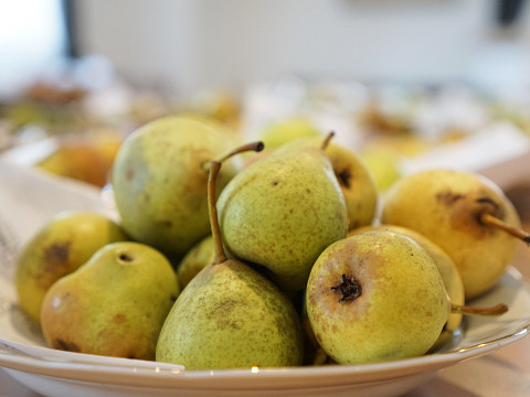 Die ungeahnten Schätze der Streuobstwiese