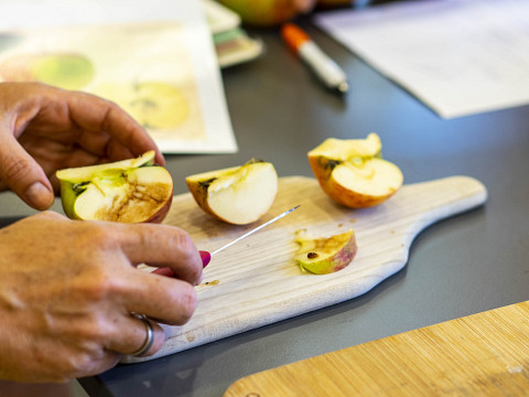 Die ungeahnten Schätze der Streuobstwiese