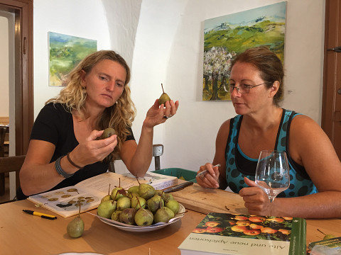 Die ungeahnten Schätze der Streuobstwiese