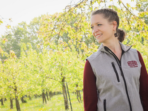 Wanderbares Mostviertel