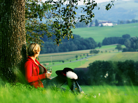 Wanderbares Mostviertel