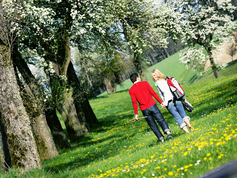 Wanderbares Mostviertel